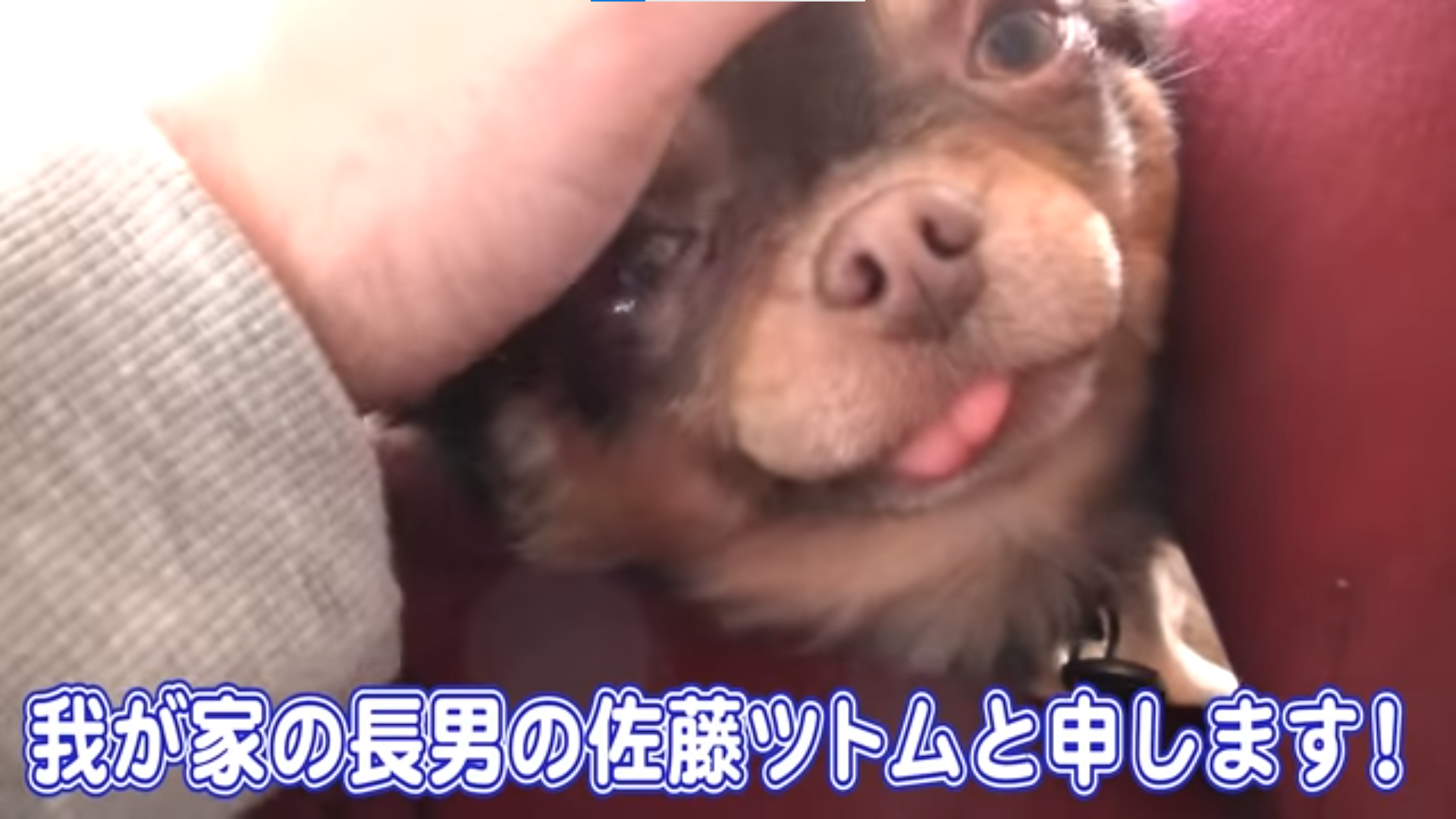  坂上忍　ツトム君